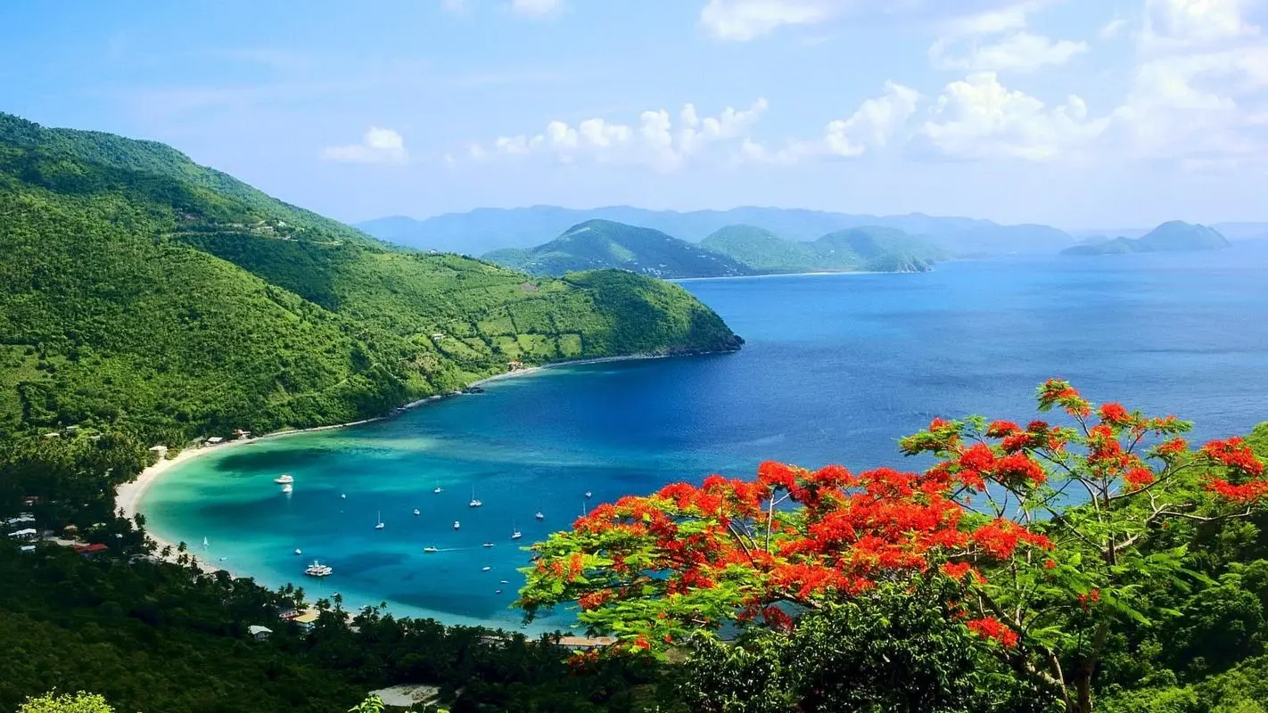 高效高质量